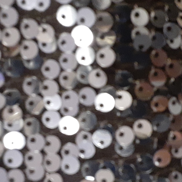 Aritzia Talula silver sparkle tank top. - Picture 4 of 5